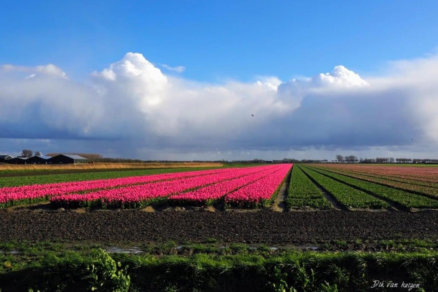 Caravan Stadstuin Goedereede Let Op De Badkamer Moet Met Andere Gasten Gedeeld Worden ภายนอก รูปภาพ